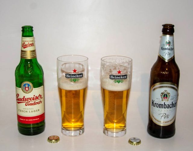 Budweiser Czech Lager vs Krombacher Pils