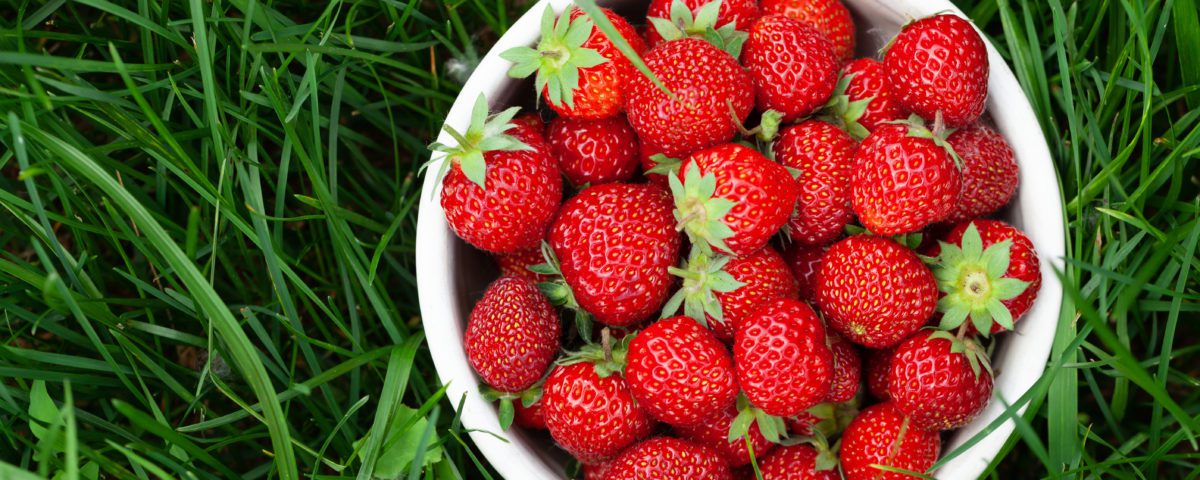 Erdbeeren in einer Schüssel
