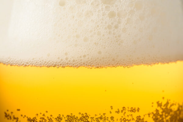 Bier