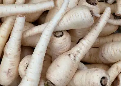 Pastinaken erntefrisch