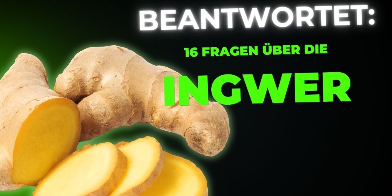 16 Fragen und Antworten über Ingwer