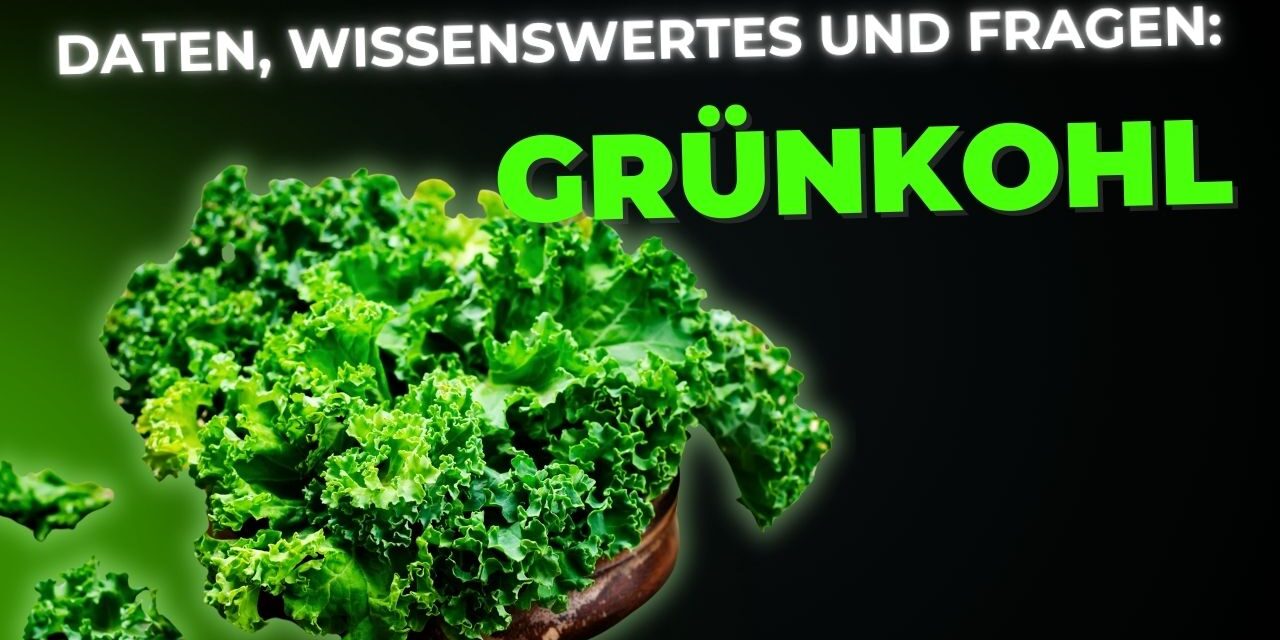 Grünkohl: Daten, Fakten, Wissenswertes und Fragen über das Superfood