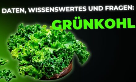 Grünkohl: Daten, Fakten, Wissenswertes und Fragen über das Superfood