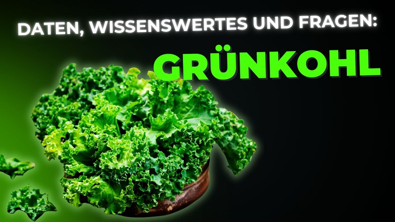 Grünkohl Daten, Fakten Wissenswertes und Fragen - featured Images
