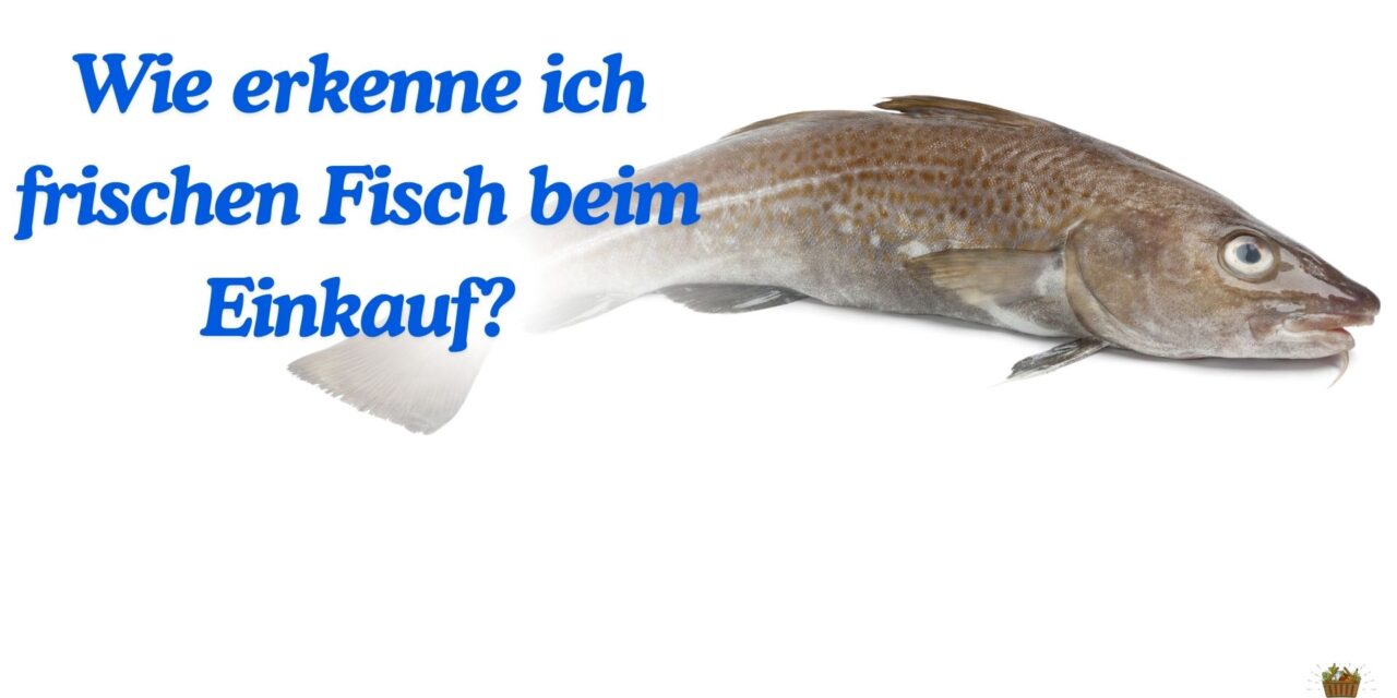 Wie erkenne ich frischen Fisch beim Einkauf?