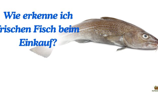 Wie erkenne ich frischen Fisch beim Einkauf?