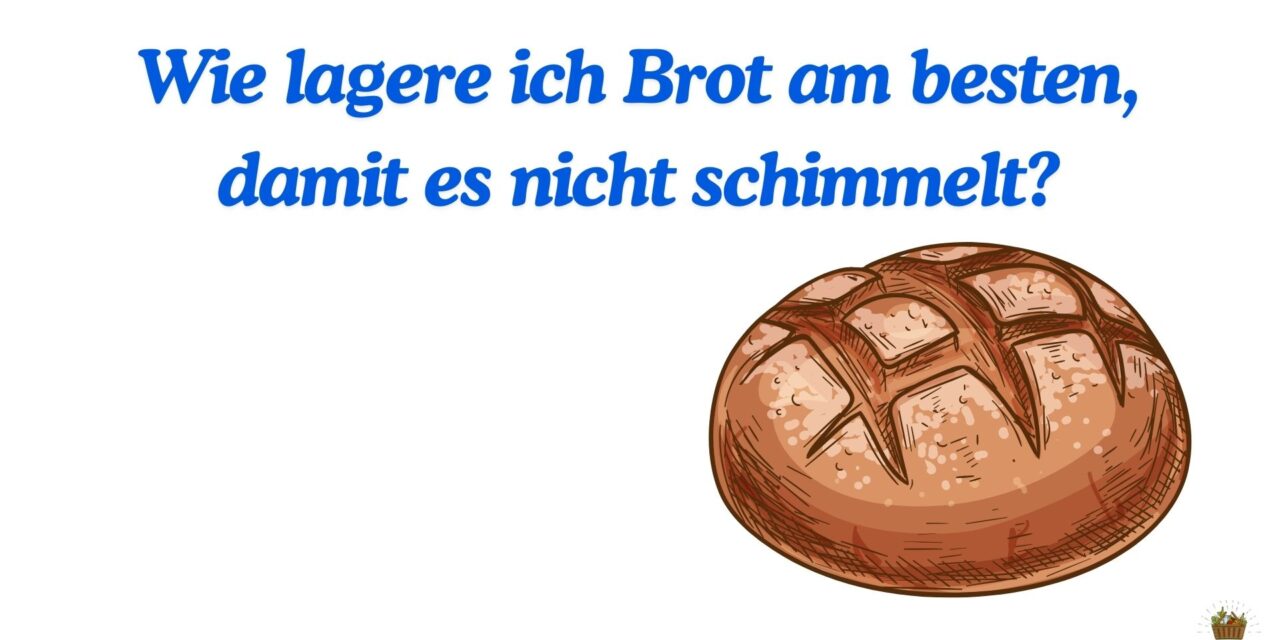 Wie lagere ich Brot am besten, damit es nicht schimmelt?