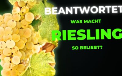 Was macht Riesling so besonders und beliebt?