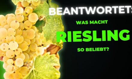 Was macht Riesling so besonders und beliebt?