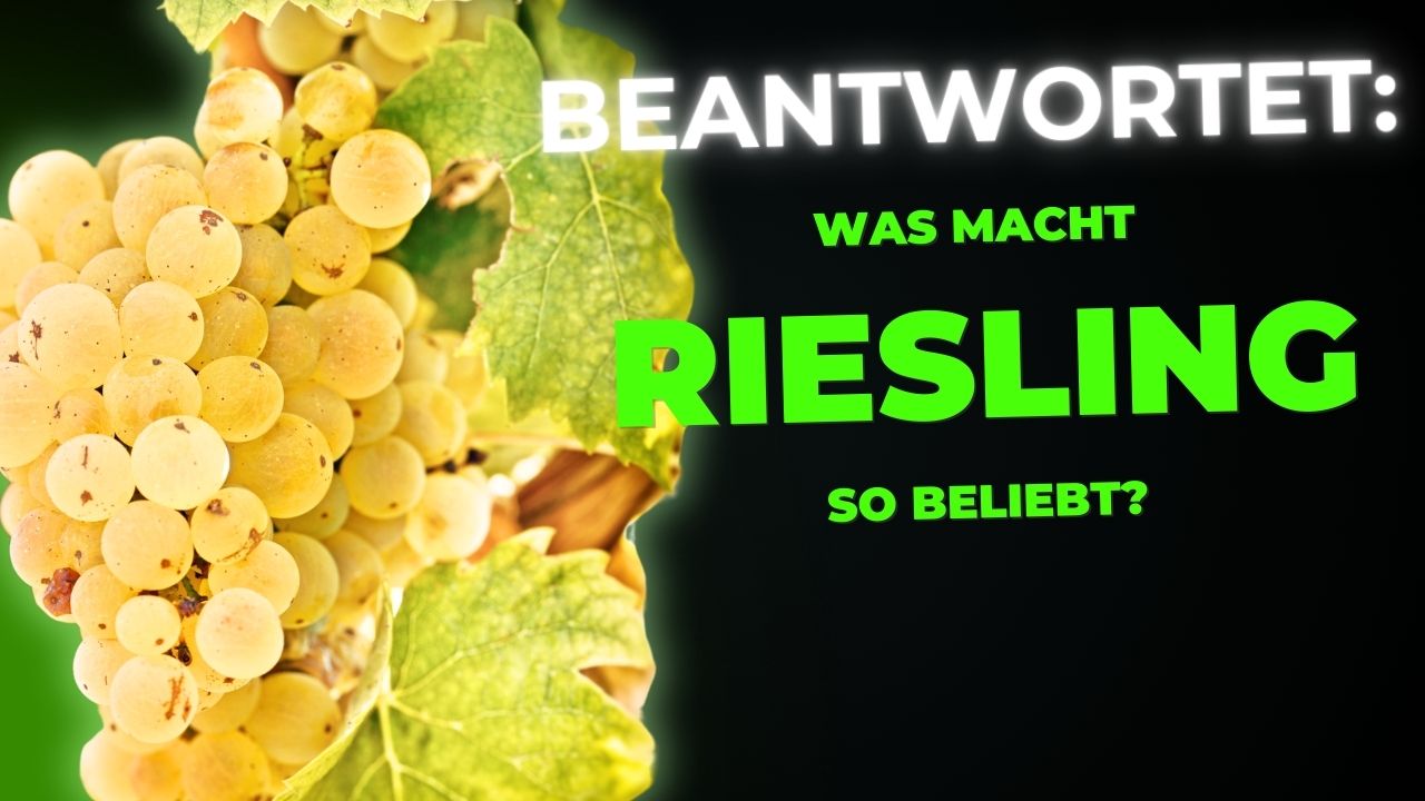 Beantwortet Was macht Riesling so beliebt - featured Image