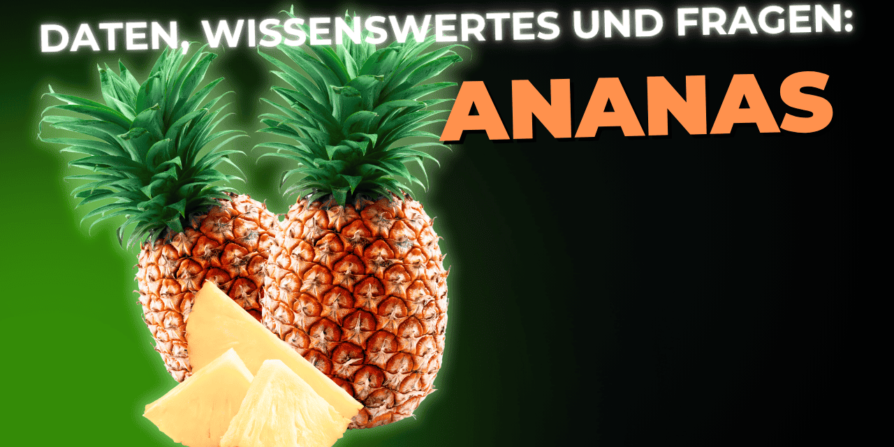 Lebensmittel-Wissen: die Ananas