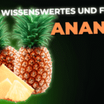 Lebensmittel-Wissen: die Ananas