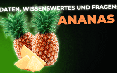 Lebensmittel-Wissen: die Ananas