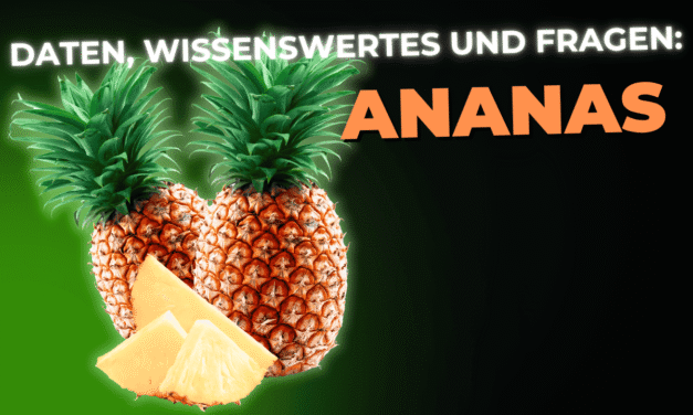 Lebensmittel-Wissen: die Ananas