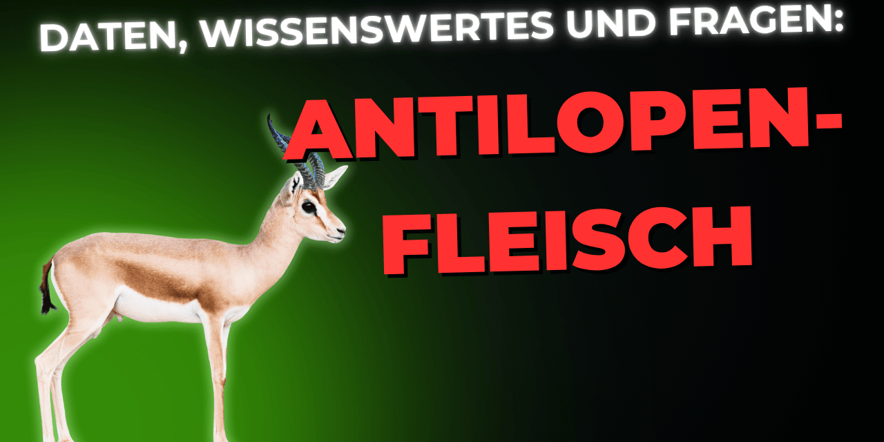 Lebensmittel-Wissen: Antilopenfleisch