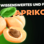 Lebensmittel-Wissen: die Aprikose