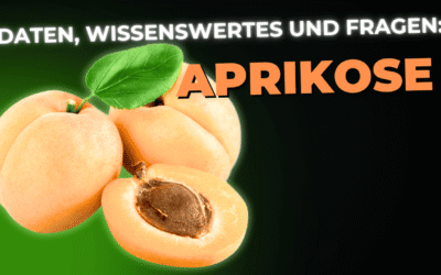 Lebensmittel-Wissen: die Aprikose