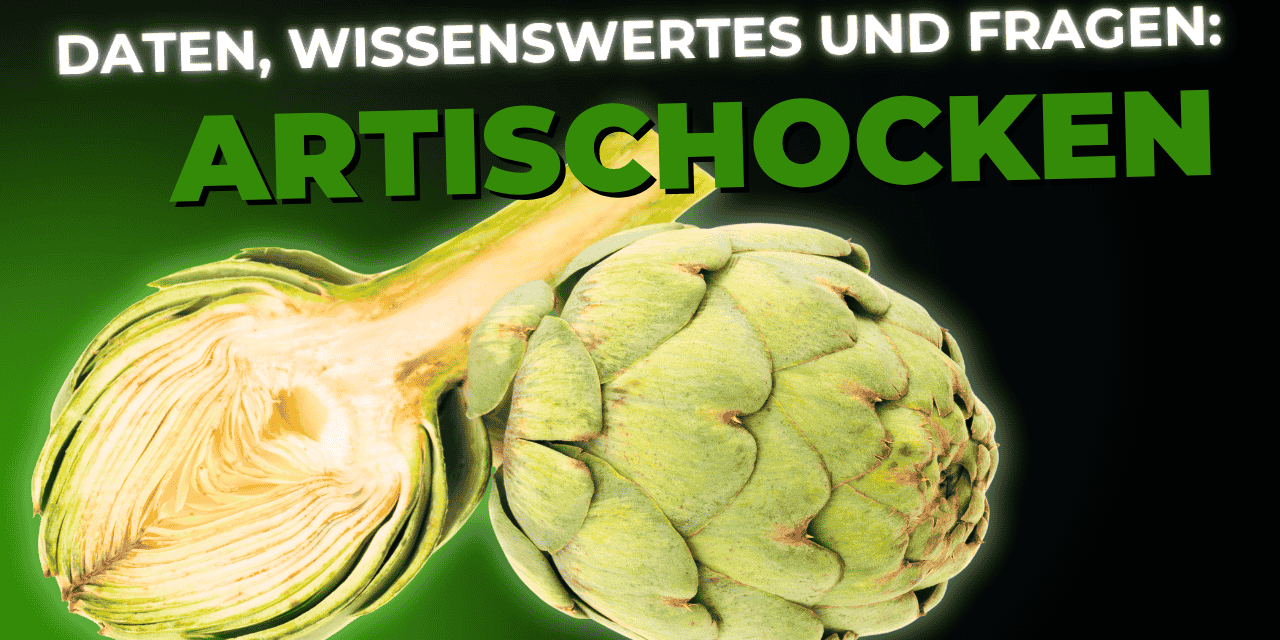 Lebensmittel-Wissen: die Artischocke