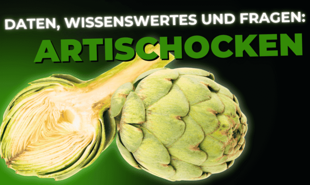 Lebensmittel-Wissen: die Artischocke