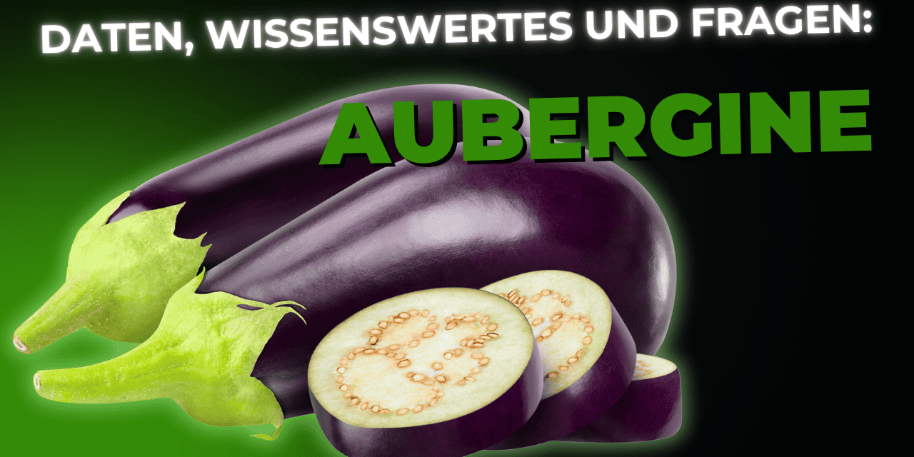 Lebensmittel-Wissen: die Aubergine