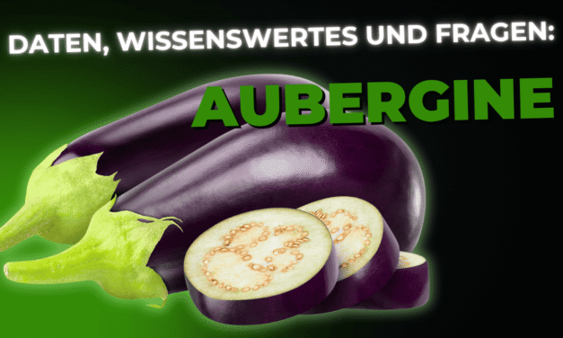 Lebensmittel-Wissen: die Aubergine