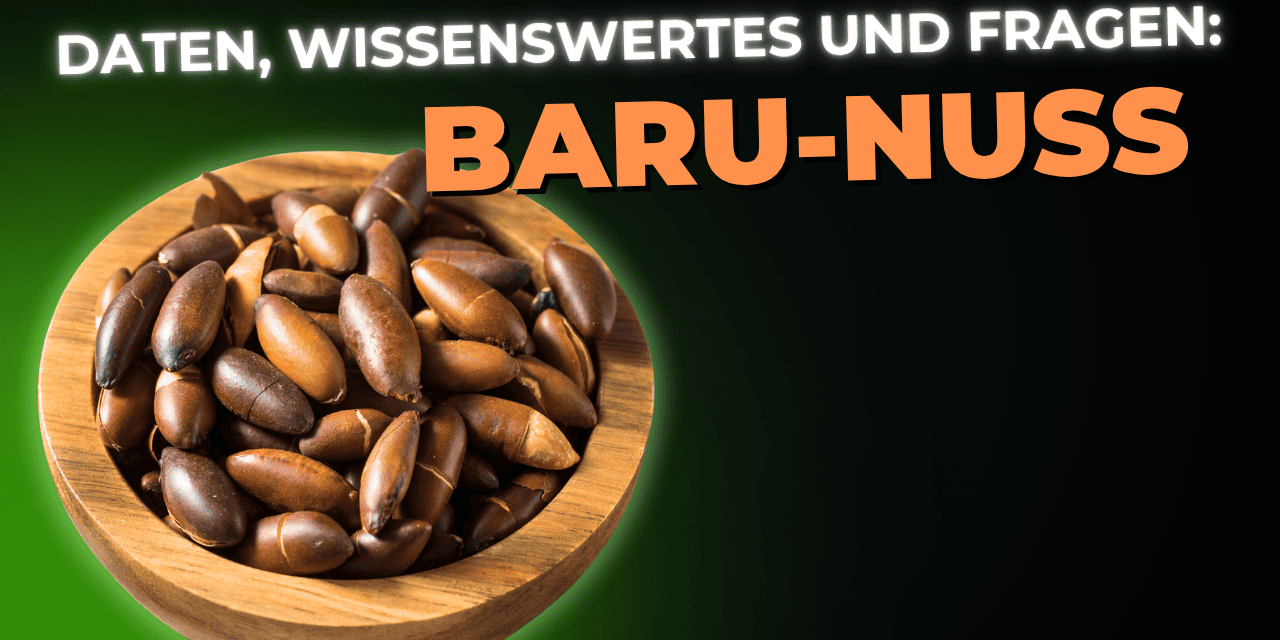Lebensmittel-Wissen: Baru-Nuss