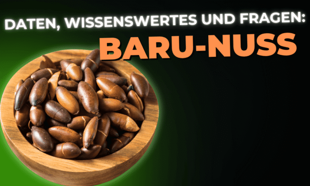Lebensmittel-Wissen: Baru-Nuss