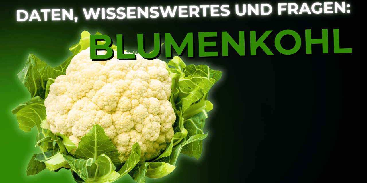 Lebensmittel-Wissen: Blumenkohl