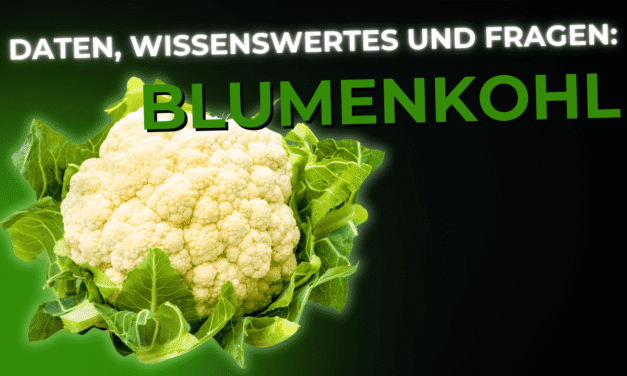 Lebensmittel-Wissen: Blumenkohl