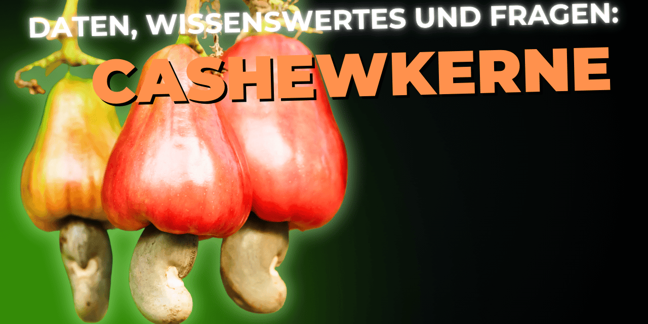 Lebensmittel-Wissen: Cashewkerne