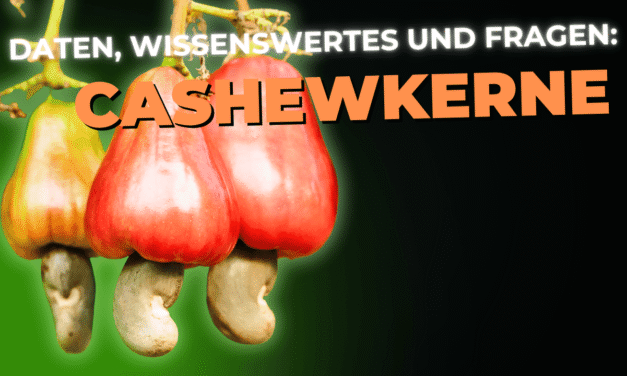 Lebensmittel-Wissen: Cashewkerne