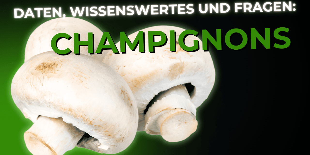 Lebensmittel-Wissen: Champignons