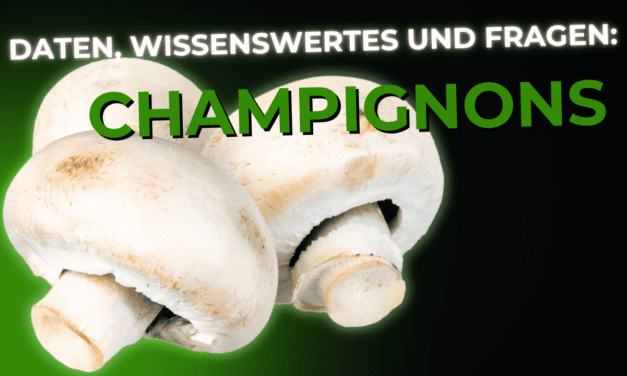 Lebensmittel-Wissen: Champignons