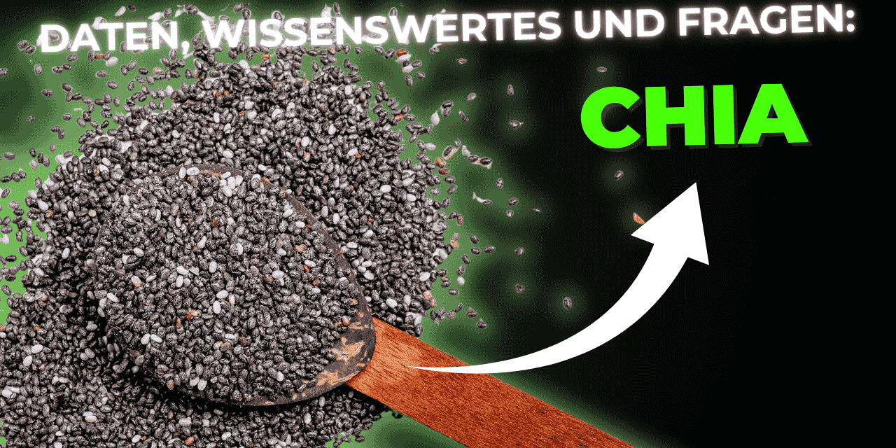 Lebensmittel-Wissen: Chia-Samen