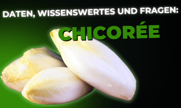 Lebensmittel-Wissen: Chicorée