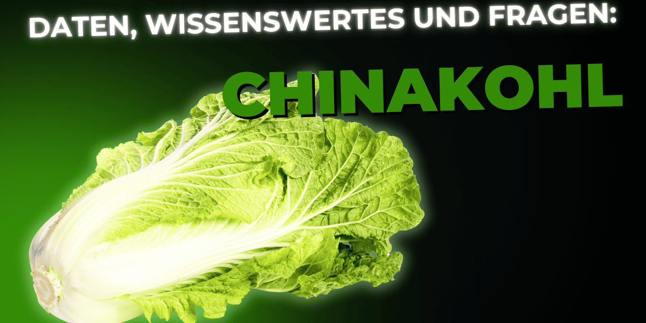 Lebensmittel-Wissen: Chinakohl
