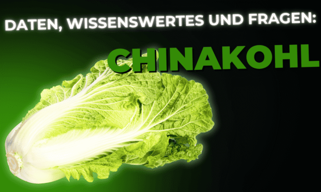 Lebensmittel-Wissen: Chinakohl