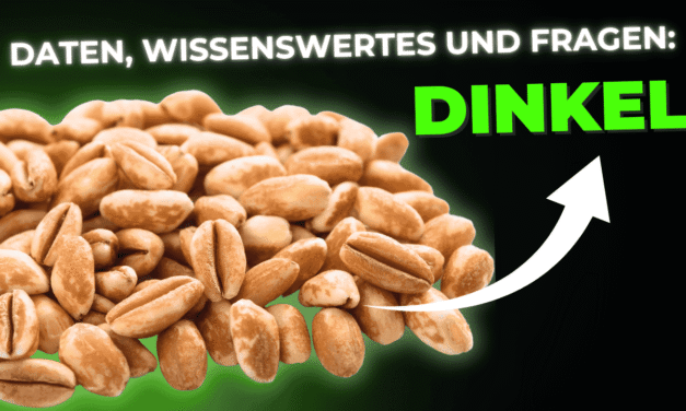 Lebensmittel-Wissen: Dinkel