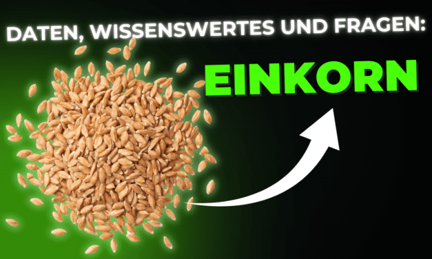 Lebensmittel-Wissen: Einkorn