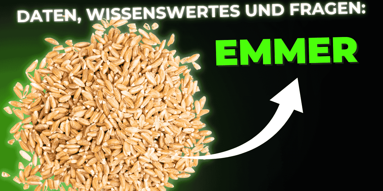 Lebensmittel-Wissen: Emmer
