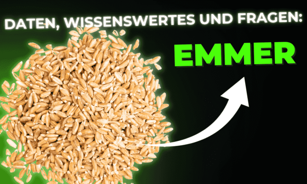 Lebensmittel-Wissen: Emmer
