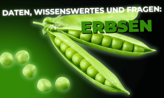 Lebensmittel-Wissen: Erbsen
