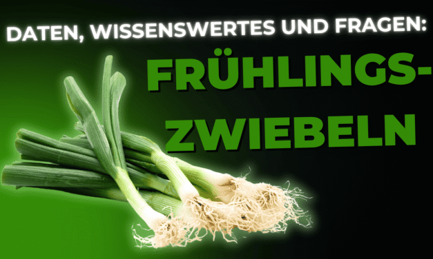 Lebensmittel-Wissen: Frühlingszwiebeln