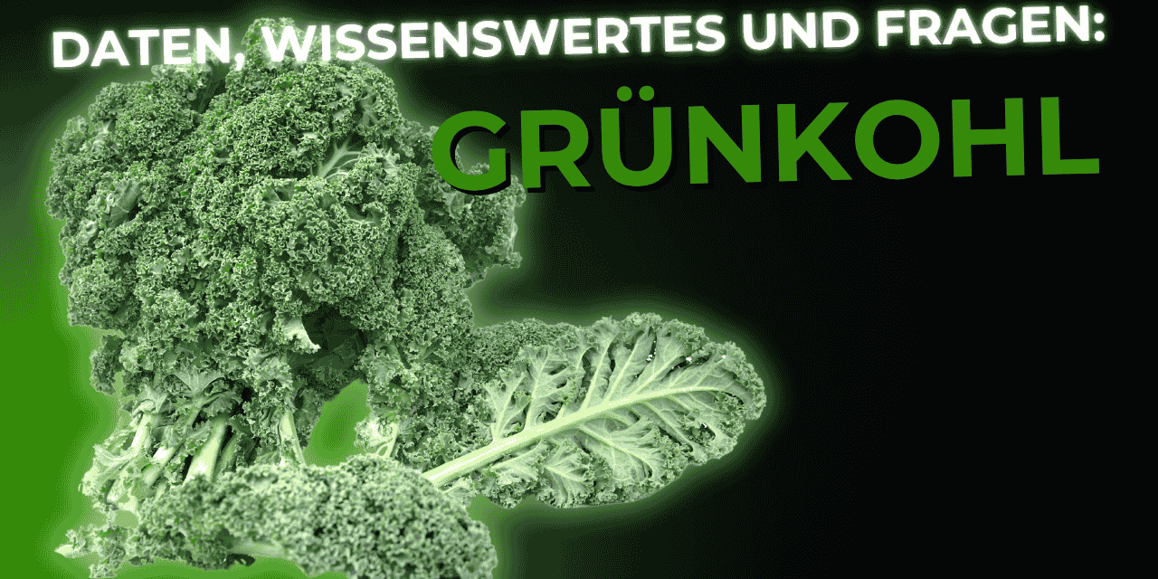 Lebensmittel-Wissen: Grünkohl