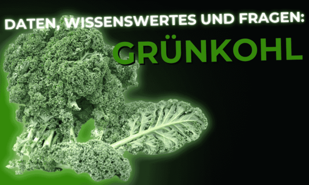 Lebensmittel-Wissen: Grünkohl
