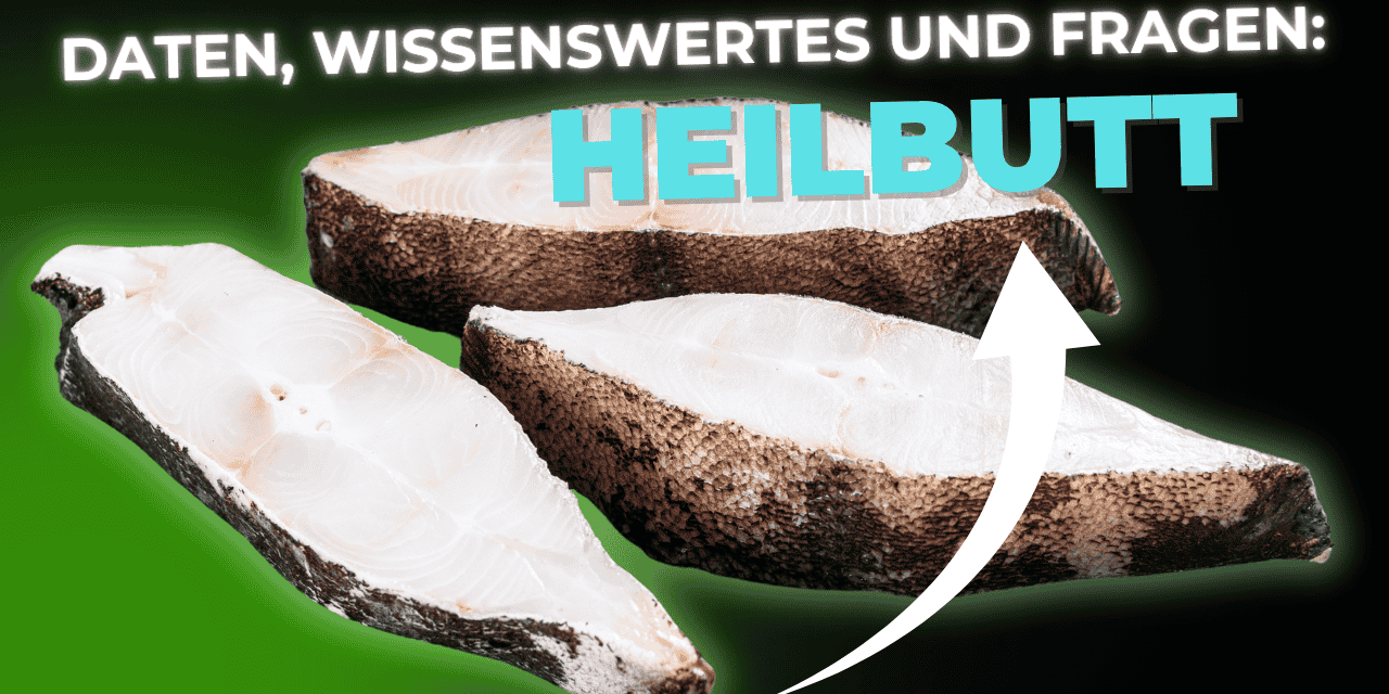 Lebensmittel-Wissen: Heilbutt
