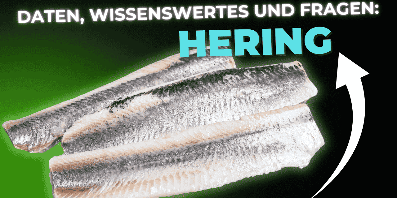 Lebensmittel-Wissen: Hering
