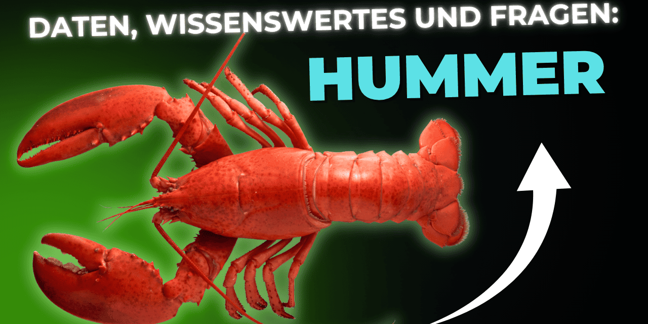 Lebensmittel-Wissen: Hummer