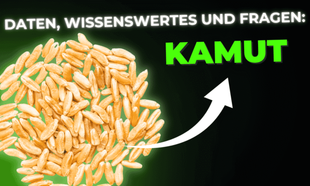 Lebensmittel-Wissen: Kamut