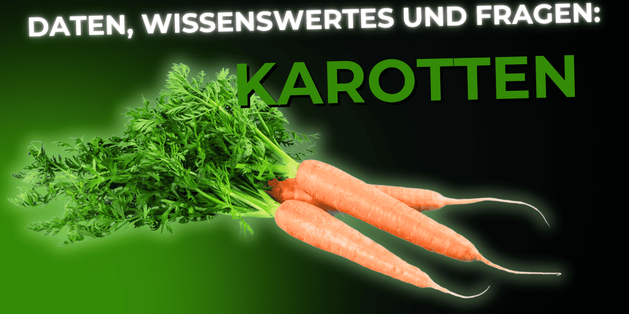 Lebensmittel-Wissen: Karotten / Möhren